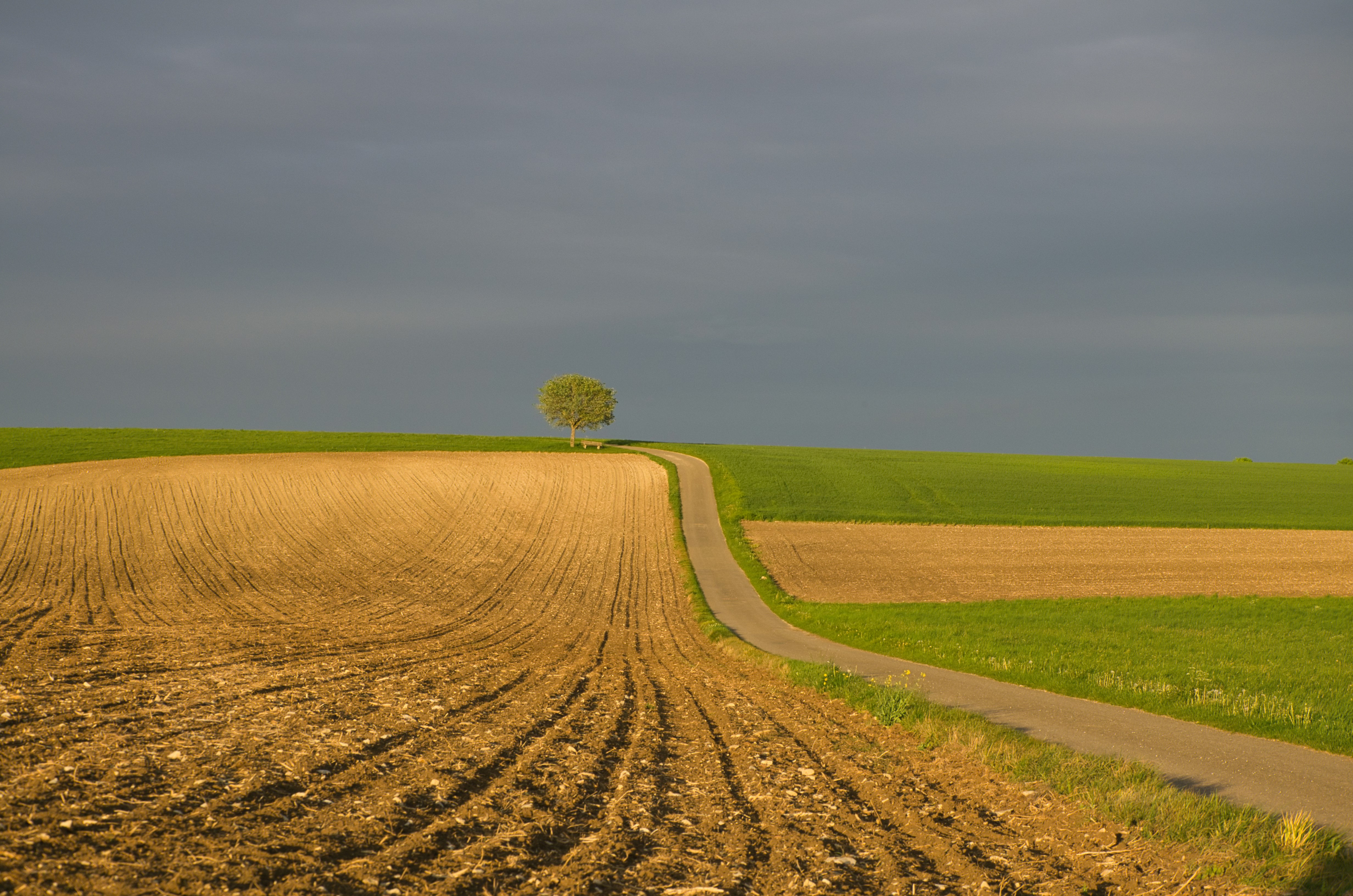 Bild von Landwirtschaftliche Nutzfläche mit Wasserrecht